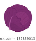 Red cabbage icon Leafy vegetable illustration material 132839013