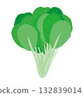Komatsuna leafy vegetable illustration material 132839014
