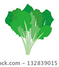 Spinach illustration Leafy vegetable illustration material 132839015