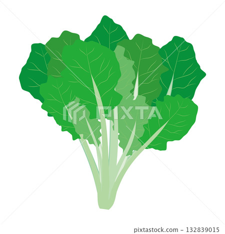 菠菜插圖 葉菜插圖素材 132839015
