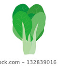 Bok choy leafy vegetable illustration material 132839016