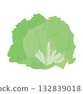 Lettuce leafy vegetable illustration material 132839018