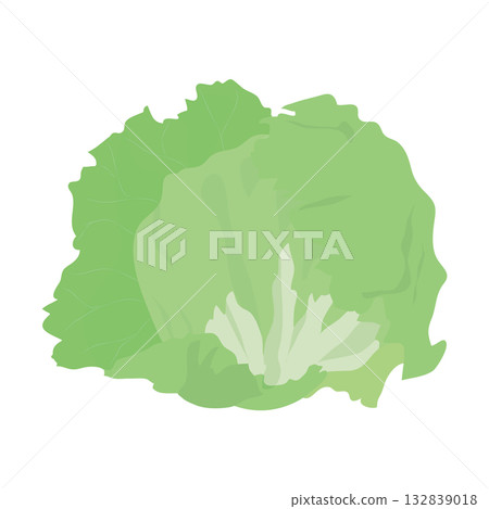 Lettuce leafy vegetable illustration material Lettuce leafy vegetable illustration material 132839018
