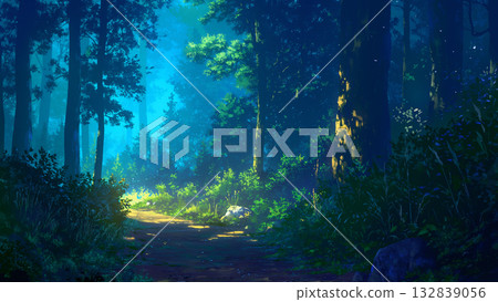 黑暗森林小徑，動漫風格 132839056