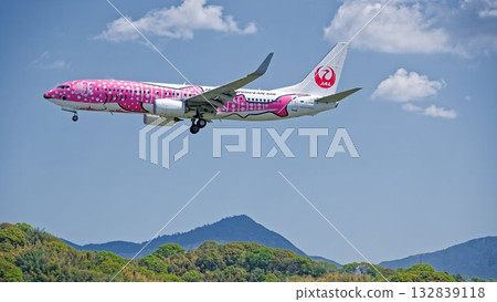 日本越洋航空（JTA）的櫻花鯨魚號 132839118