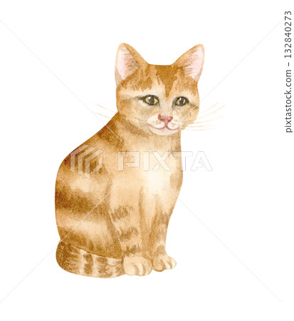 Sitting ginger kitten with stripes watercolor illustration isolated on white. Little cute domestic cat clip art for realistic designs with animals and pets and rescue centers 132840273