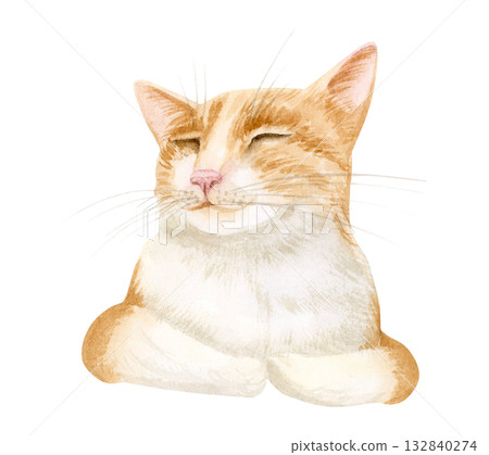 Sleepy orange white cat watercolor isolated illustration. Cute and funny ginger pet portrait for stickers and kids designs. Domestic animal clip art for pet stores, shelters and adoption centers 132840274