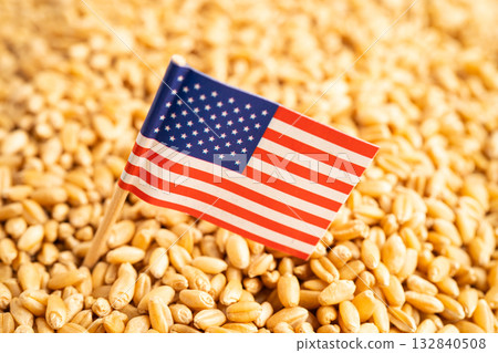 Grains wheat with USA America flag, trade export and economy. Grains wheat with USA America flag, trade export and economy. 132840508