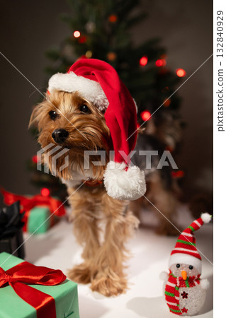 Creative Christmas Postcard Invitation Featuring a Festive Dog in a Holiday Setting 132840929