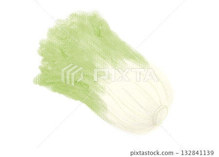 用柔和的粉彩繪製的中國白菜插圖 132841139