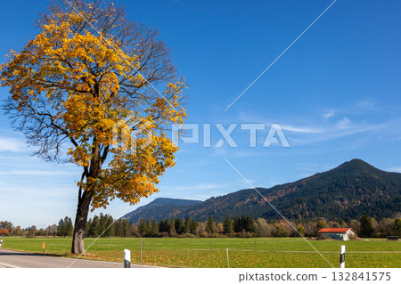 德國鄉村秋色中的自然之美 德國鄉村秋色中的自然之美 132841575