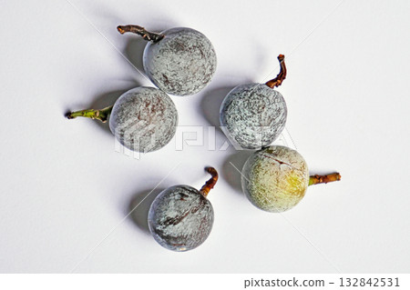 Autumn nagi fruit (autumn, October) 132842531