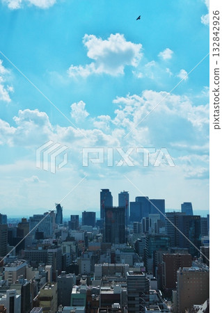 View of Nagoya Station to the west from the sky deck of Chubu Electric Power MIRAI TOWER 132842926
