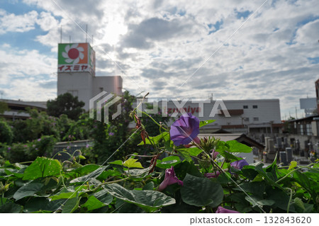 大阪府松原市泉屋松原店關閉紀錄 - 紫牽牛花 大阪府松原市泉屋松原店關閉紀錄 - 紫牽牛花 132843620