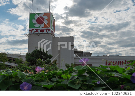 大阪府松原市泉屋松原店關閉紀錄－招牌與牽牛花 132843621