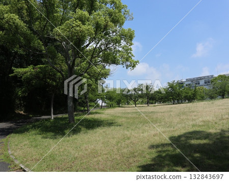 西神中央近鄰散步道的風景：湯屋池、區役所等。 132843697