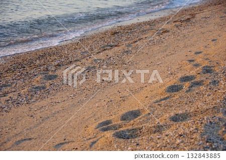 Keino Matsubara Beach, Minamiawaji City, Hyogo Prefecture 132843885
