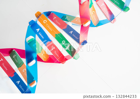 DNA molecule spiral structure model isolated on white background, chromosome and gene chemical science biology. DNA molecule spiral structure model isolated on white background, chromosome and gene chemical science biology. 132844233