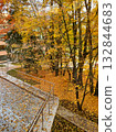 Autumn trees with bright leaves in an autumn park. 132844683