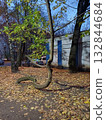 A strangely twisted tree. 132844684