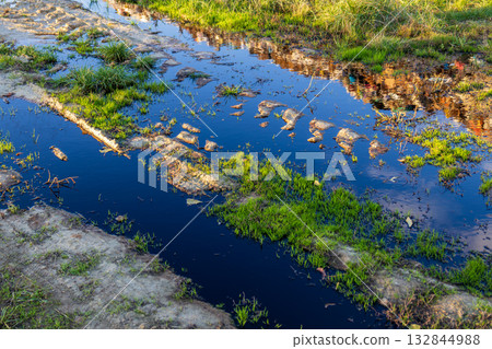 Stagnant water filled with garbage and debris reflects the surrounding greenery, highlighting pollution issues in the environment 132844988