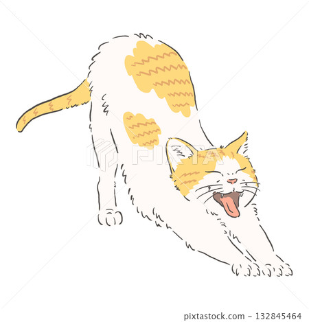 Illustration of a brown and white cat stretching 132845464
