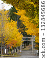 金銀杏樹和鳥居 132845686