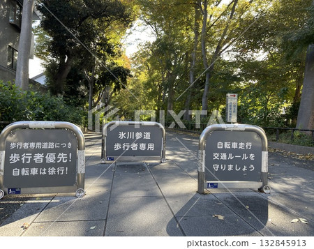 通往大宮冰川神社的拱門 132845913