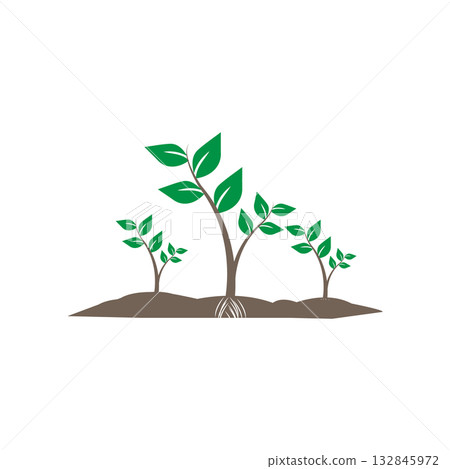 Illustration of a green plant seedling with lush leaves and a strong root system Illustration of a green plant seedling with lush leaves and a strong root system 132845972