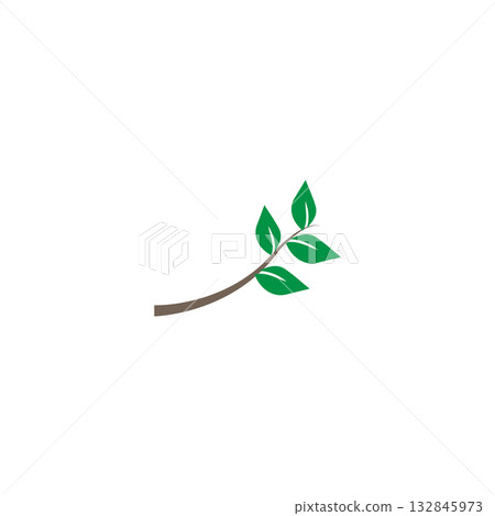 green twig and leaf icon green twig and leaf icon 132845973