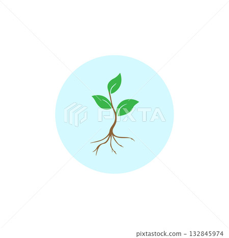Plant Shoots Penetrate Cracks Plant Shoots Penetrate Cracks 132845974