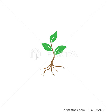 plant icon vectors illustration symbol design plant icon vectors illustration symbol design 132845975