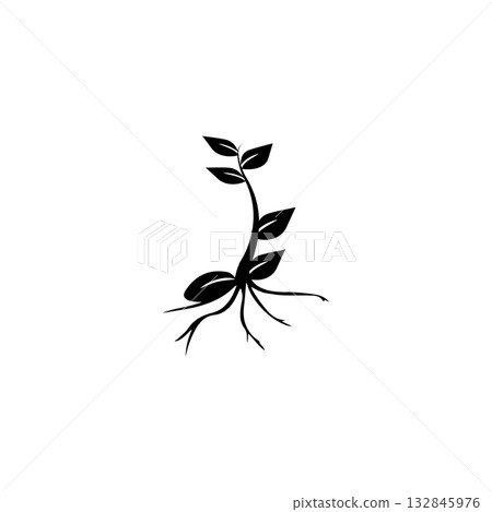 plant icon vectors illustration, color black and white 132845976
