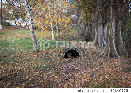 An old concrete drainpipe in an autumn park covered with fallen leaves 132846176