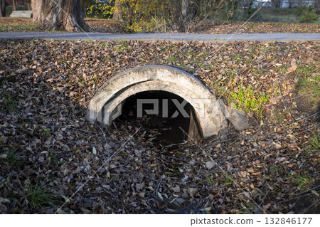 An old concrete drainpipe in an autumn park covered with fallen leaves 132846177