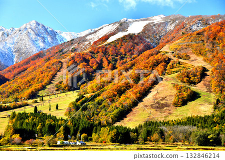 View of Hakuba Goryu Ski Resort (Hakuba Village, Nagano Prefecture) [November 2025] 132846214
