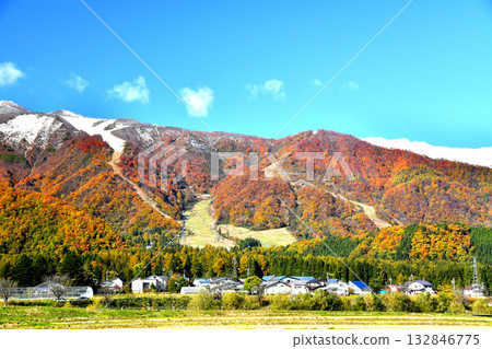 白馬五龍滑雪場景色（長野縣白馬村）[2025年11月] 132846775