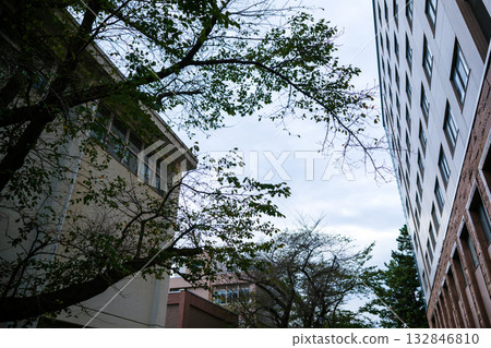 我在大學校園散步時看到的秋景 我在大學校園散步時看到的秋景 132846810