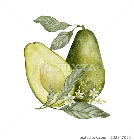Watercolor avocado leaves and flowers illustration. Hand drawn botanical drawing. Green plant vegetables on isolated background for food, cosmetic packaging design, card, invitation. Watercolor avocado leaves and flowers illustration. Hand drawn botanical drawing. Green plant vegetables on isolated background for food, cosmetic packaging design, card, invitation. 132847033