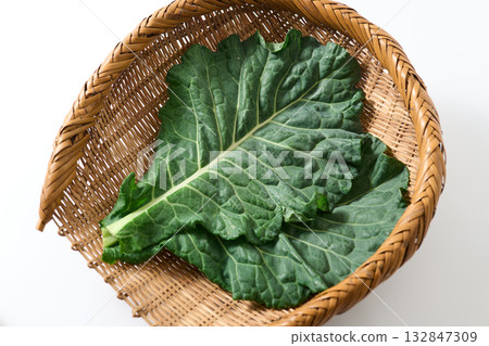 Kale from Yamanashi Prefecture Kale from Yamanashi Prefecture 132847309