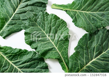 Kale from Yamanashi Prefecture 132847316