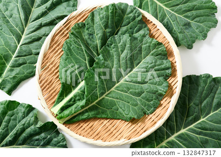 Kale from Yamanashi Prefecture Kale from Yamanashi Prefecture 132847317