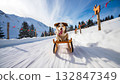 Happy team of husky dogs pulling sled through pristine, snowy mountain landscape during sunny day, showcasing adventure and winter sports 132847349