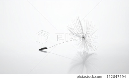 Dandelion fluff flying in the air 132847394
