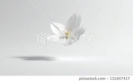 A single white flower floating on a white background 132847417