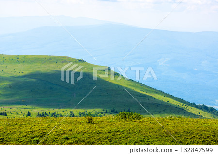 mountain landscape with beautiful view on alps in summer. green alpine meadow under blue sky on a sunny day. idyllic scenery in carpathian mountains with grassy rolling hills on morning fresh 132847599