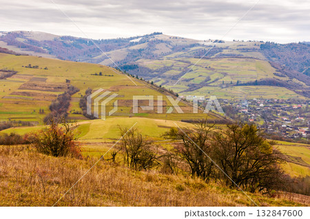 countryside mountain landscape in autumn. carpathian alps of ukraine. beautiful place of transcarpathia. scenery with forest on rolling hills. beauty in nature and rural europe sustainability concept 132847600