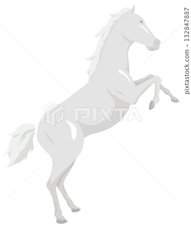 Leaping horse illustration Leaping horse illustration 132847887