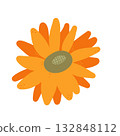 Autumn sunflower isolated on white background. Vector illustration for home decor and design, greeting card, banner, poster, label. 132848112