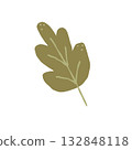 Hand drawn green autumn leave isolated on white background. Vector illustration for home decor and design, greeting card, banner, poster, label. 132848118